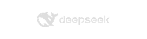 DeepSeek